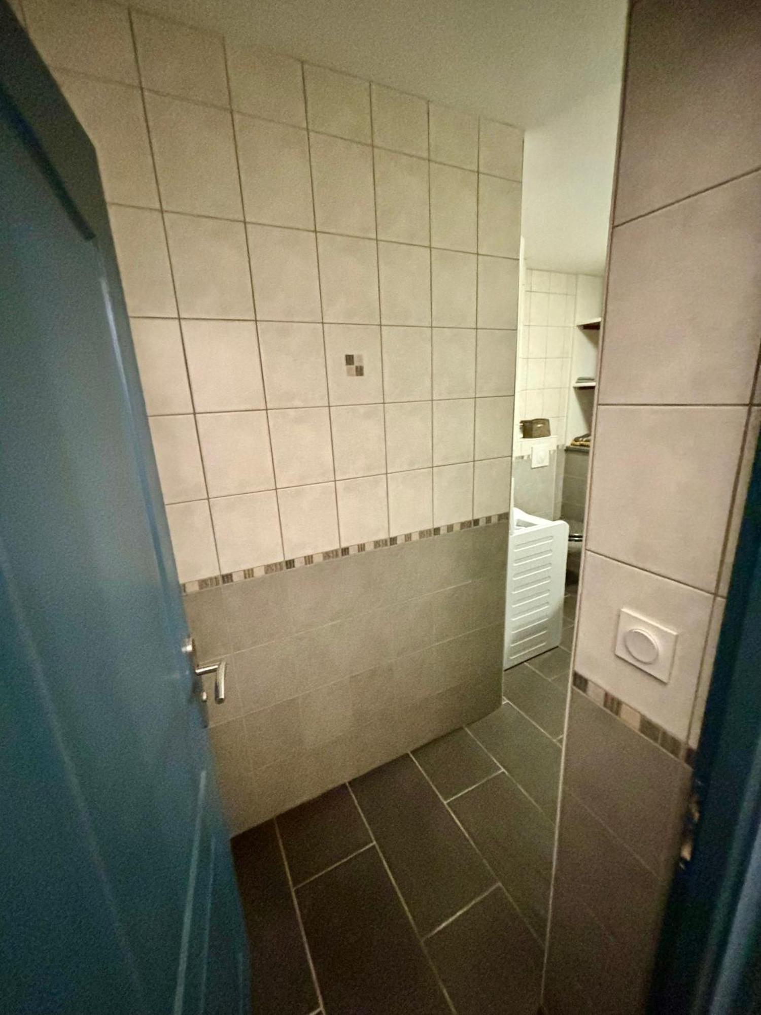 Studio - Baignoire - Pret De Vtt - Lave Linge Le Puy-en-Velay Exteriör bild